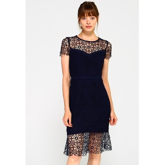 NWT Minuet Navy Blue Intricate Lace Knee Length Dress, Size L - Picture 1 of 5
